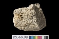 藏品(石灰岩)的圖片